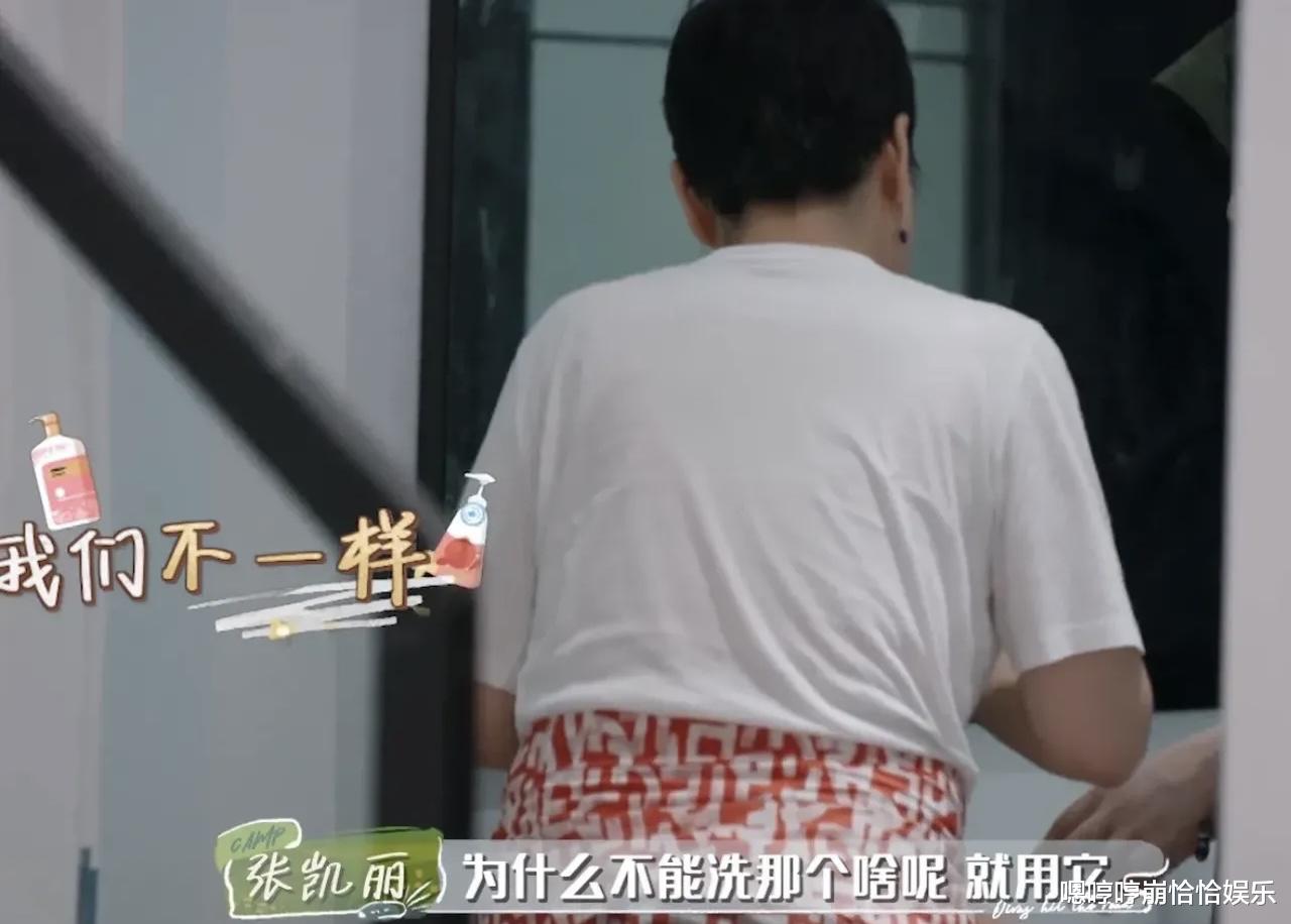 李斯丹妮|用沐浴露洗碗?张凯丽和李斯丹妮,让网友看清了明星的生活能力!
