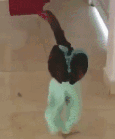 软件|“三大运营商都确认过了，说不是他们的线！”人是早上走的很安详