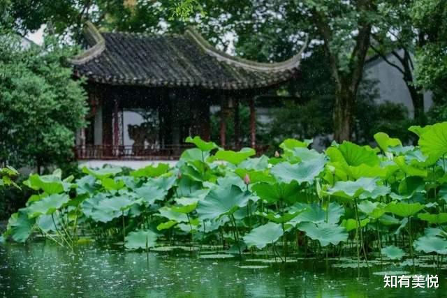 黄果树瀑布|夏天的中国哪里最好玩?这14个地方的小众美景已经被私藏,出发!