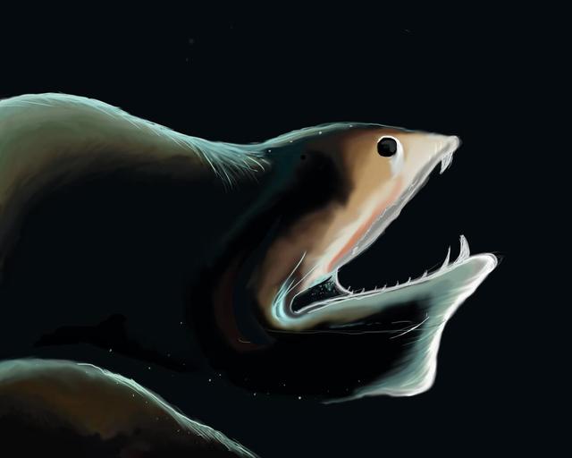 海底一万米会有巨型生物存在吗?科学探索给出答案:不可能