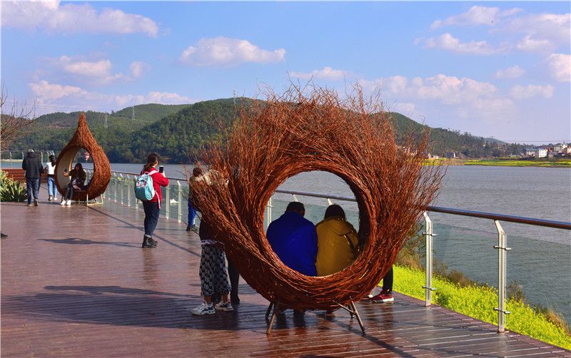 北红村|打卡！南华这片绿色大草甸，太适合露营了