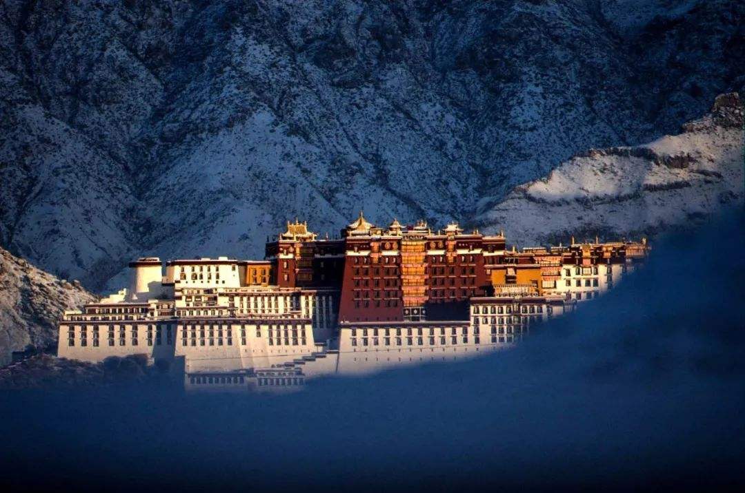 好莱坞|在国内高人气的好莱坞明星的另一面