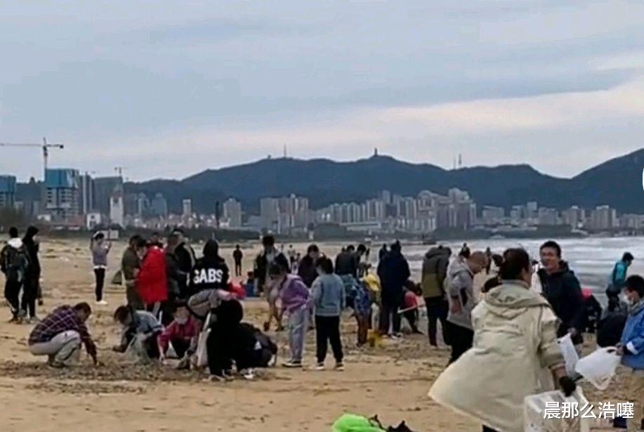烟台女子从海滩捡30斤虾回家,女子驱车三小时连夜捞海肠,10万元