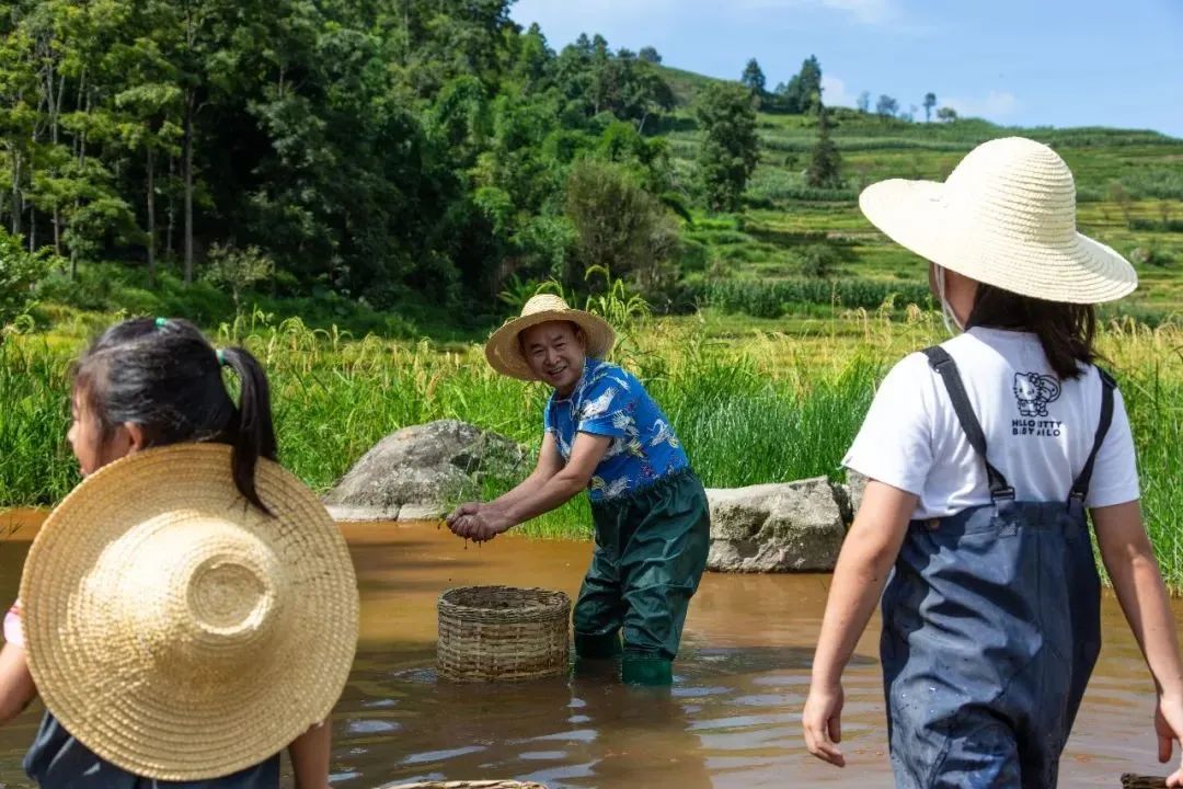 乌镇戏剧节|会员单位丨云南省红河哈尼族彝族自治州哈尼梯田森林康养基地