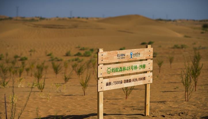 蚂蚁森林|马云斥巨资在沙漠里种树，承诺每年1亿棵，多年过去，树怎样了