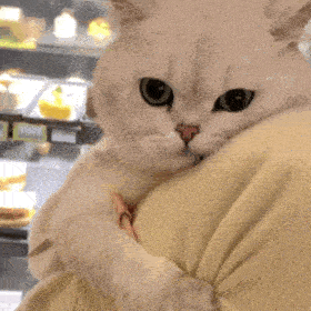 李云迪|李云迪正式复出!嫖娼被抓后人间蒸发欠债百万,曾当街小便婚内出轨多位美女!