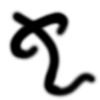 你知道为什么“虫”字和“它”字在古时都跟蛇有关吗?