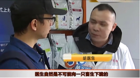 狗狗绝育意外去世,主人:医生跪下给狗道歉!
