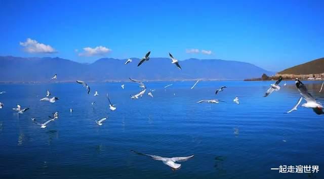 西宁|小暑来了，去哪里避暑？资深旅游达人，告诉你答案
