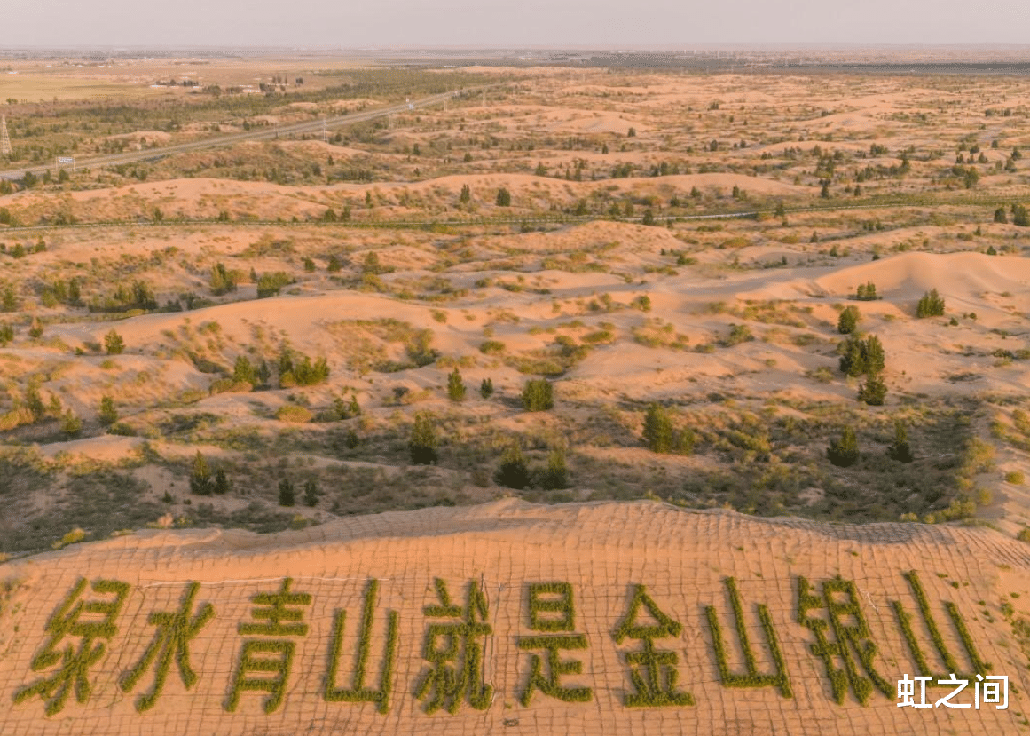 阿里巴巴|马云承诺每年种的1亿棵树，现在怎么样了？