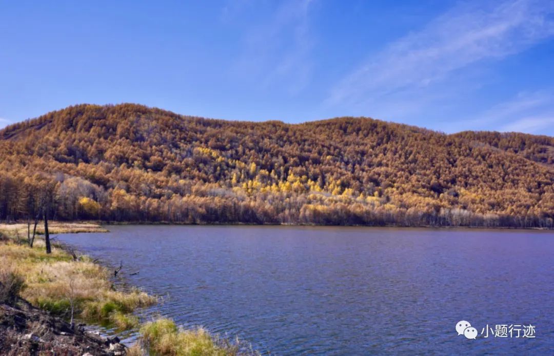 阿尔山|阿尔山的秋天可以有多美?美到醉景,美到来了不想走!