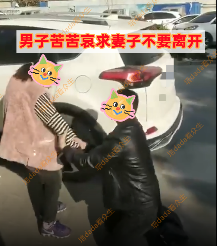 男子跪地自扇耳光道歉,承诺包容一切过错,哀求妻子不要背叛自己