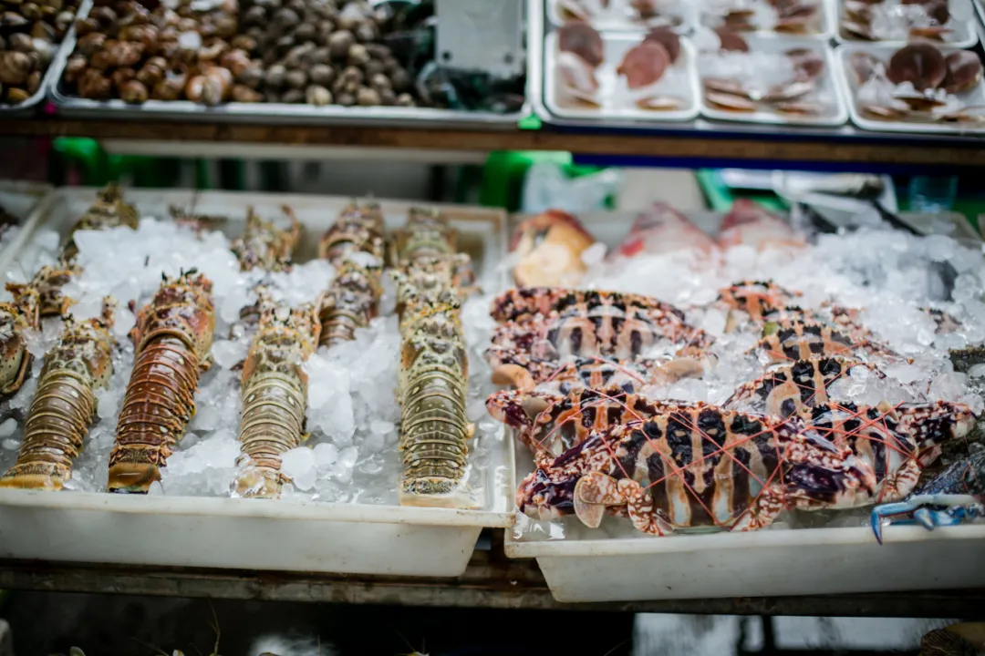 海岛|中国最美沿海公路，坐拥5大海岛，一路驶向大海，山海风光绝美