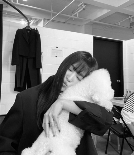 |宋慧乔恋爱史堪比电视剧 与李秉宪玄彬都曾恋爱 浪漫满屋清纯迷人