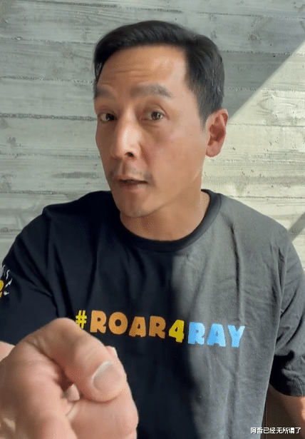 陈若仪|陈若仪和LISA：嫁给美男子的两种结局