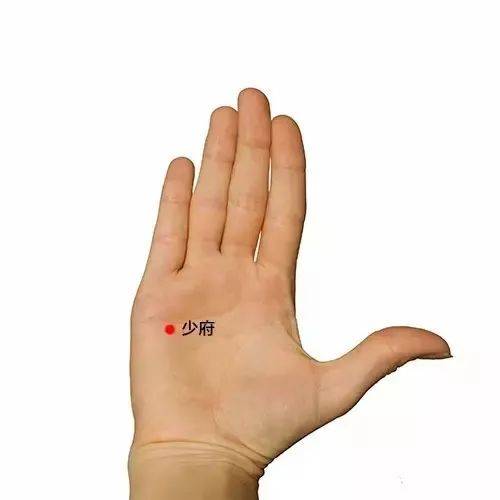 大脑|手上的少府穴,清心安神能改善睡眠的穴位