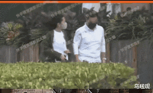 姚琛|昨日，刘大锤终于放出来了大瓜!