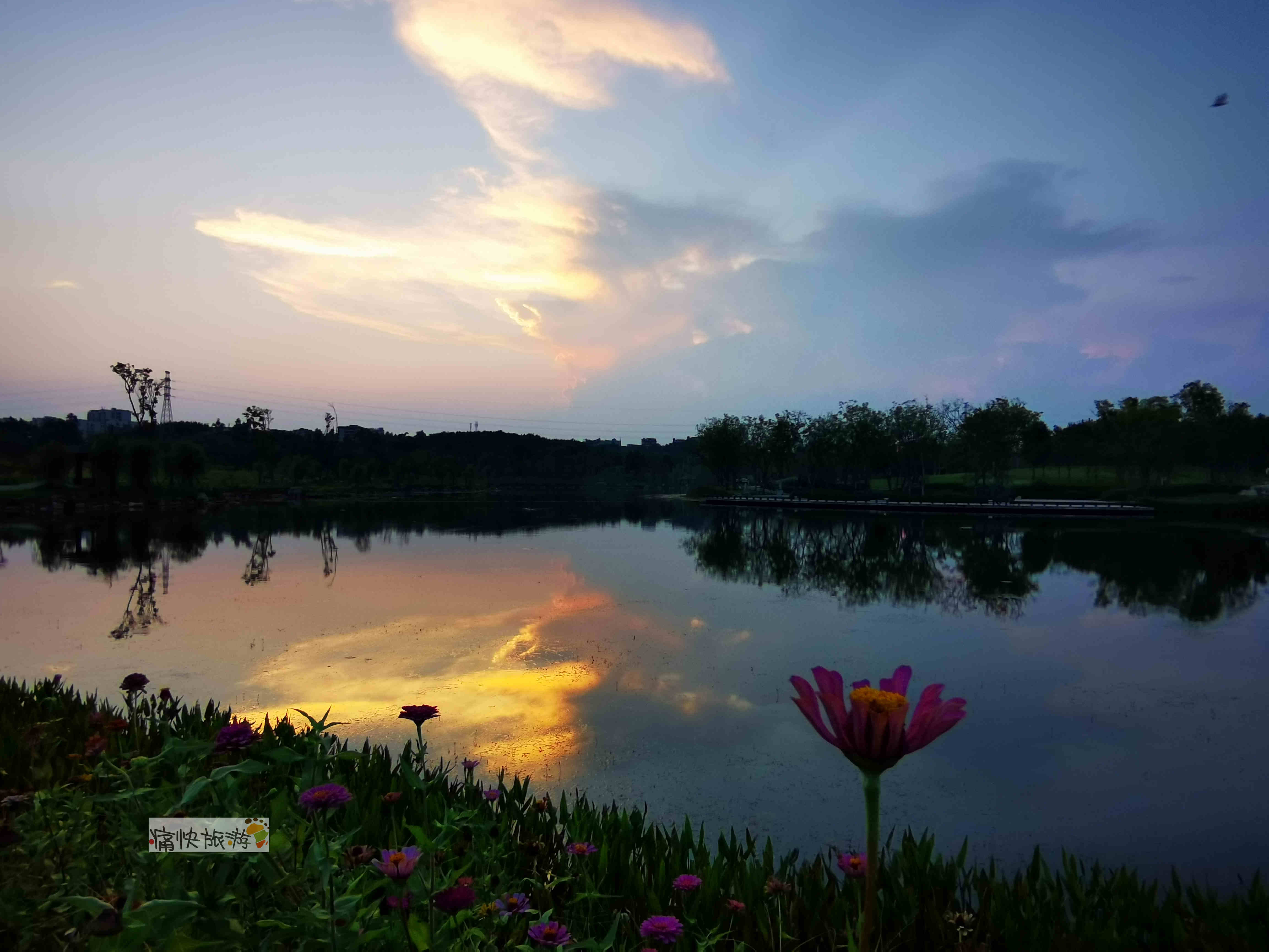 新疆维吾尔自治区|行走自贡：黄昏时分的宜昆河湿地公园