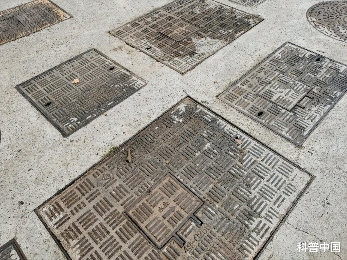 当蜜蜂搬家到城市,人类能否“与邻为善”?