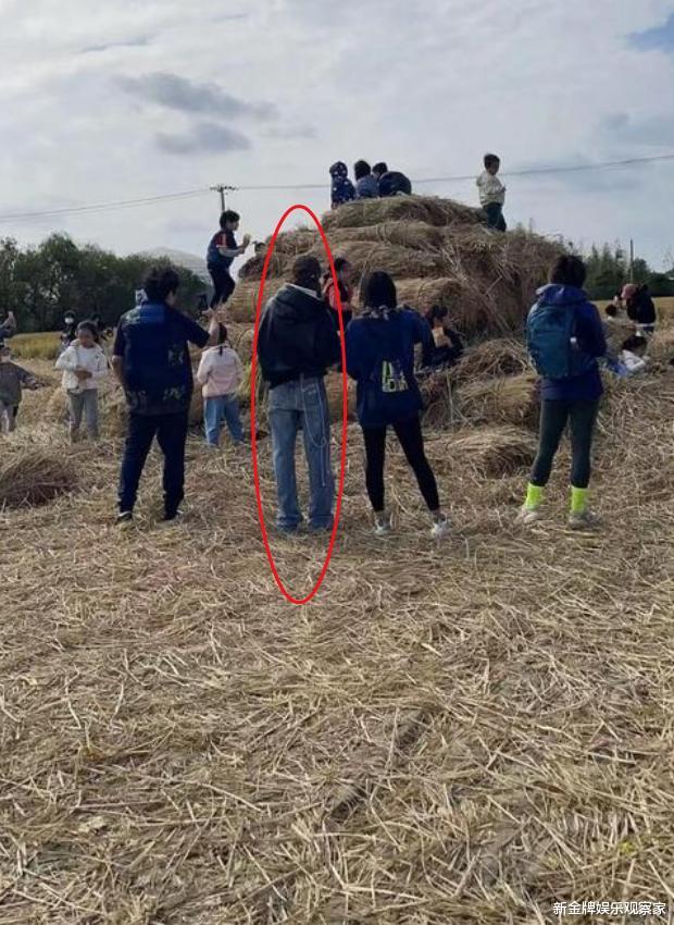 李路|baby带儿子割稻谷，郭晶晶带娃种水稻，越有钱越想穷养星二代？