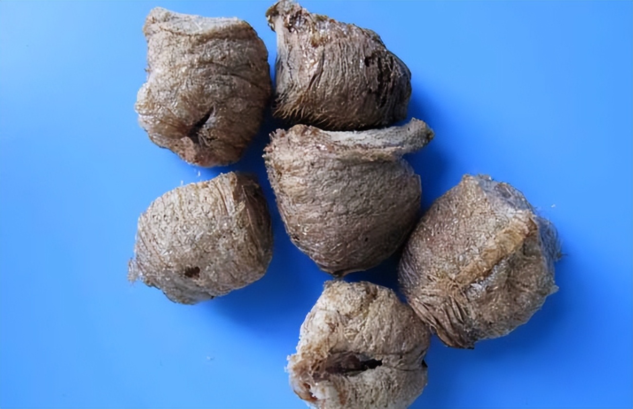 桑螵蛸现在的价格如何?