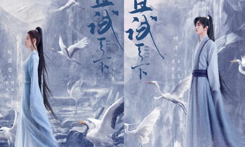 杨洋|杨洋赵露思是什么关系 曝11用袖子替她挡太阳