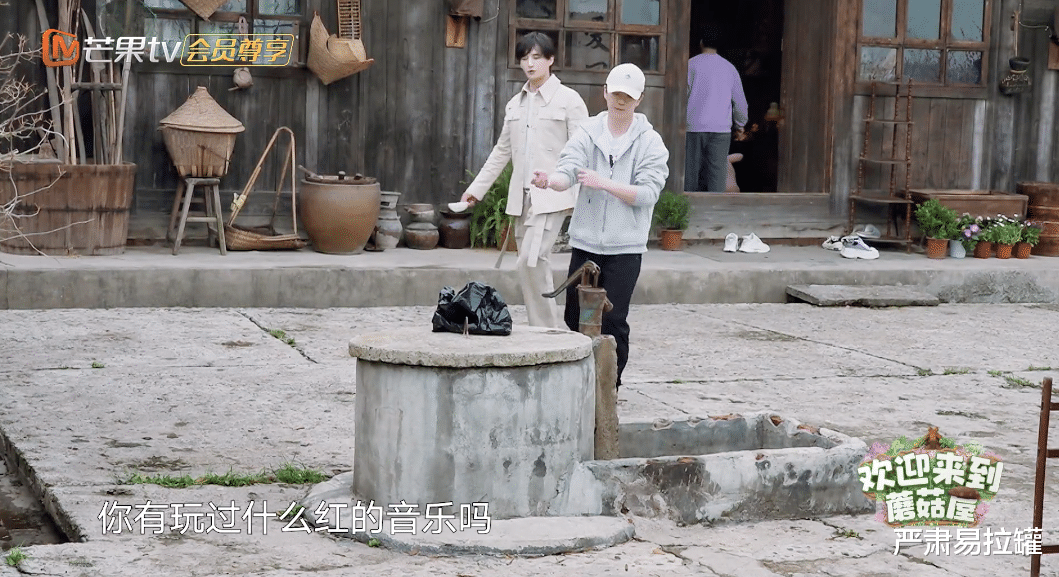 苏醒|他们终于翻红了