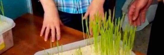 350万年前的细菌,可以让人永生么?看完才明白,永生是一种酷刑