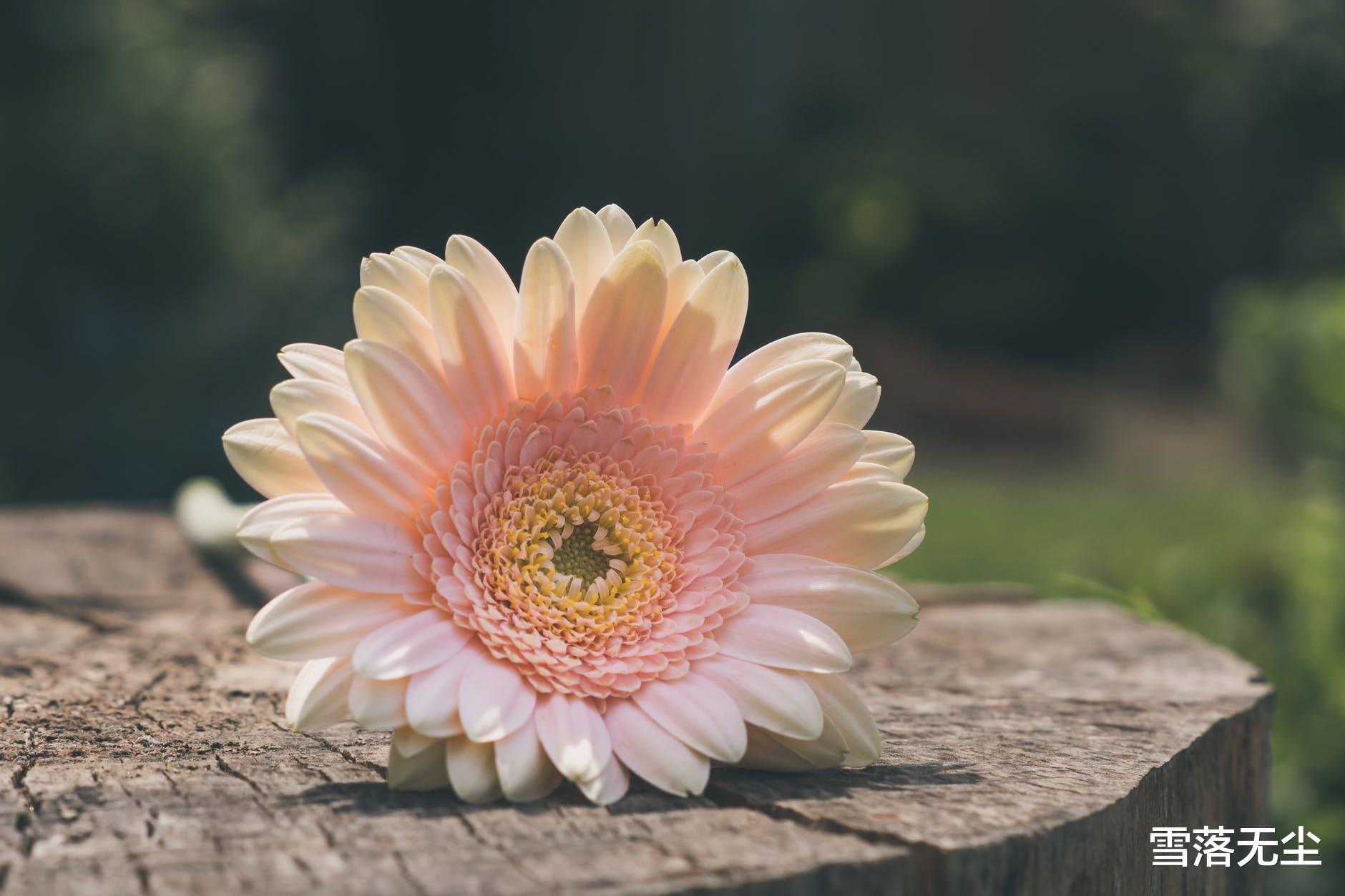 邓超|夫妻做“情人”，才是婚姻最高级的过法