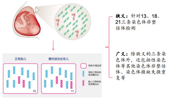 每年近千万名孕妇因这项技术受惠:华人科学家会再拿诺贝尔吗?