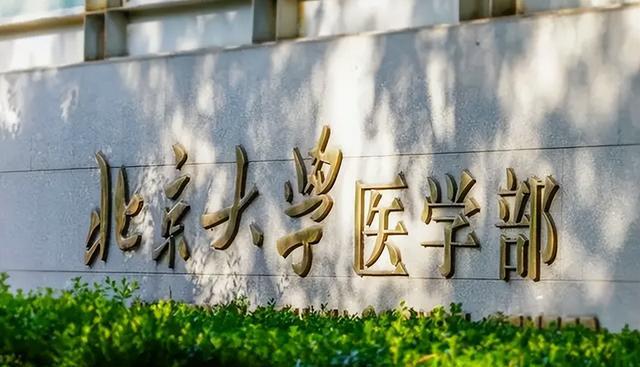 医生|学医的学生必须要选择读研究生吗？这些基本内容还是要了解一下的