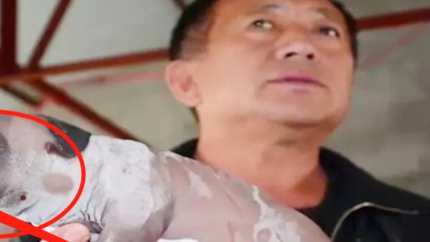 古时候就有“牛生麒麟猪生象”的说法，现在也存在，这是怎么一回事？