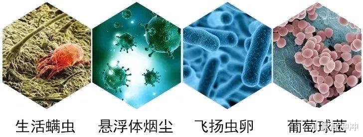 为什么说日本家居设计“变态”?深入了解后,让我恍然大悟