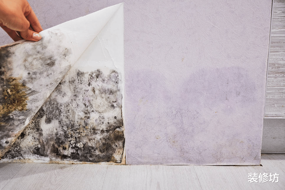 卫生间|一下雨,家里到处发霉,别用酒精喷,教你一招,霉斑自动消失!