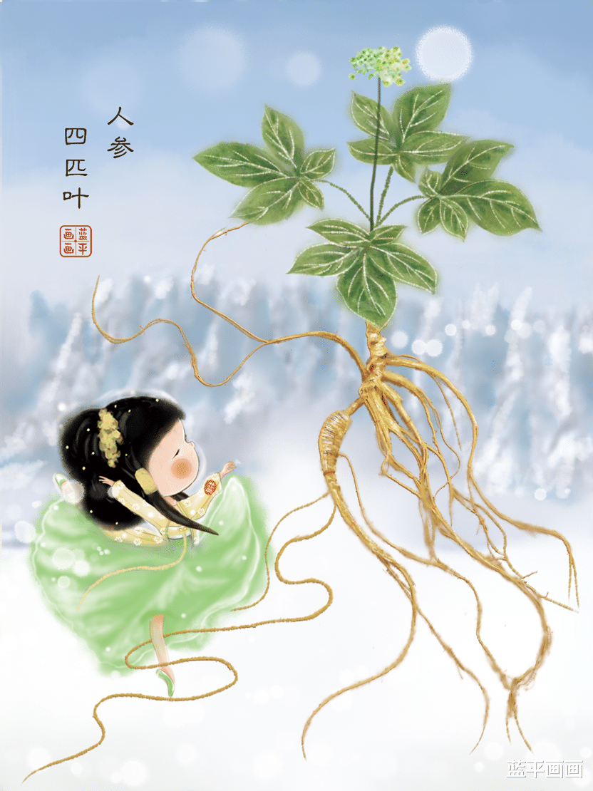 人参的知识｜可爱国风插画