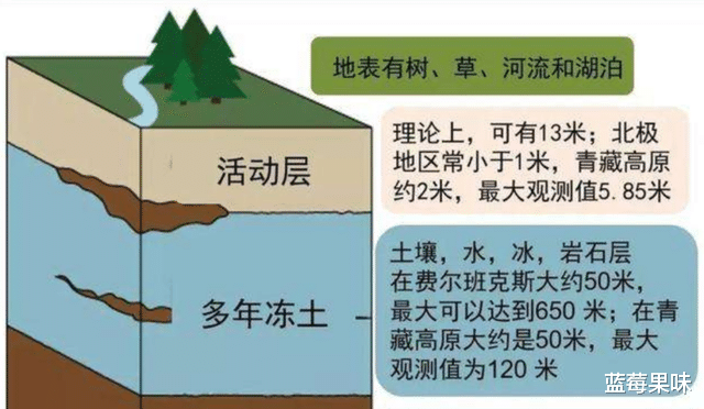 科学家复活3万年前的种子,开的花已不同,复活种子有何意义?