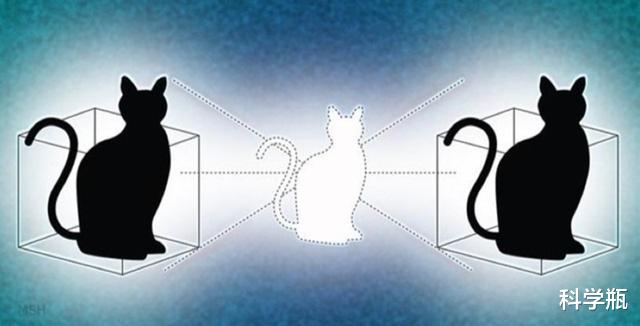 薛定谔的猫是什么?打开盒子之前,猫的生死是无法确定的吗?