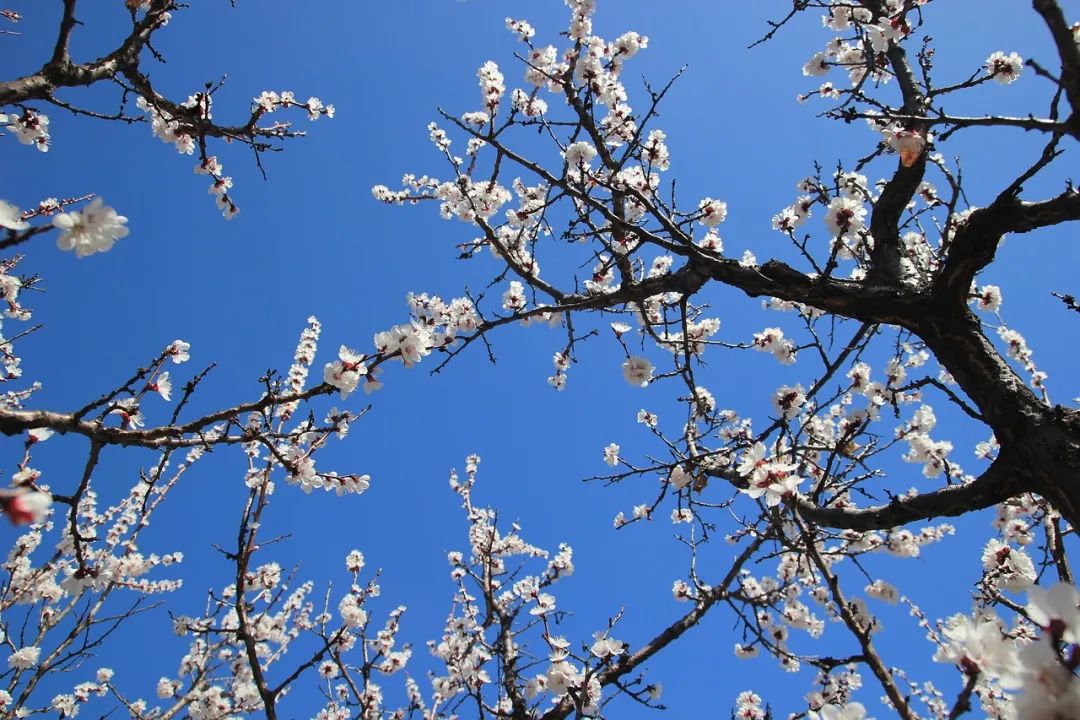 咳嗽|体内有癌,身体或会有5个明显变化,发现2个以上,建议尽早检查