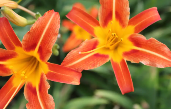 |明年,4个星座,工作上如意,事业上得意,成绩上满意