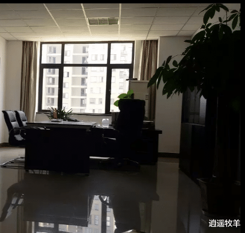 广东省|职场百态:85后女子和女同事可谓情同姐妹,然而后面的事却令其浑身疙瘩