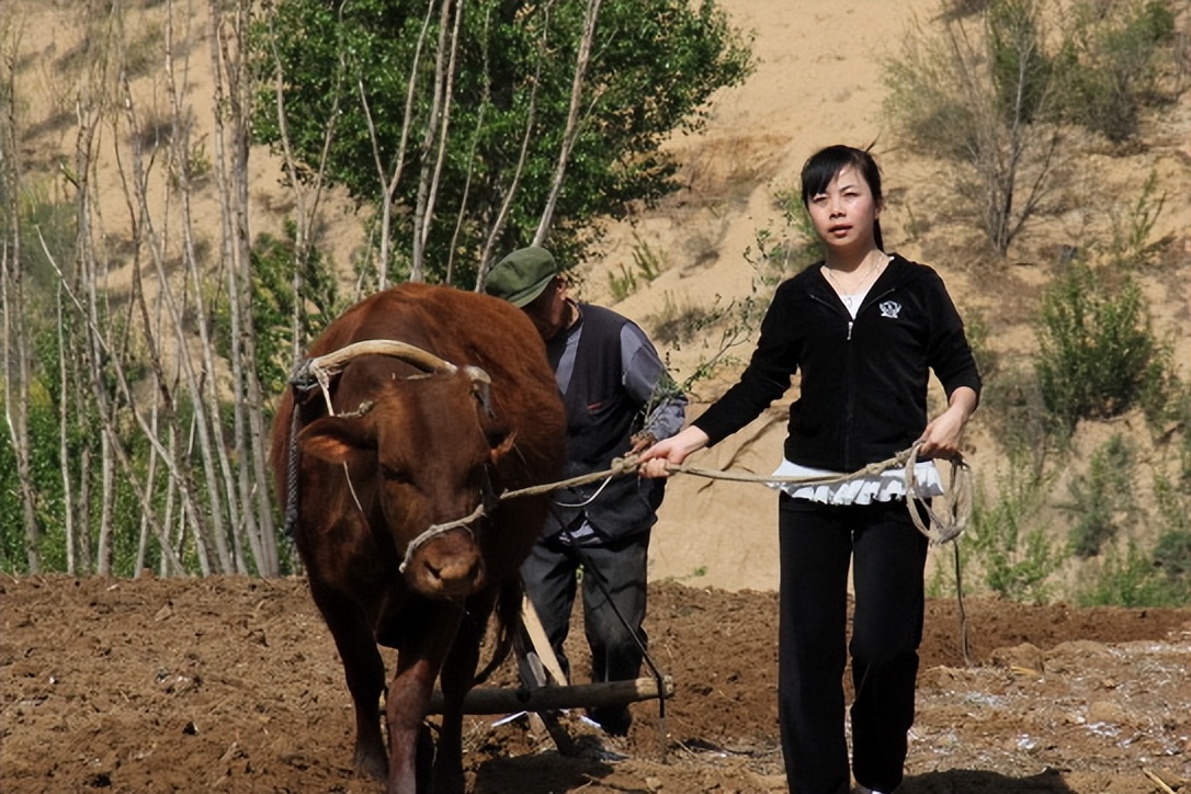 王二妮|国家一级演员王二妮，放弃百万年薪回农村放牛，背后有什么隐情？
