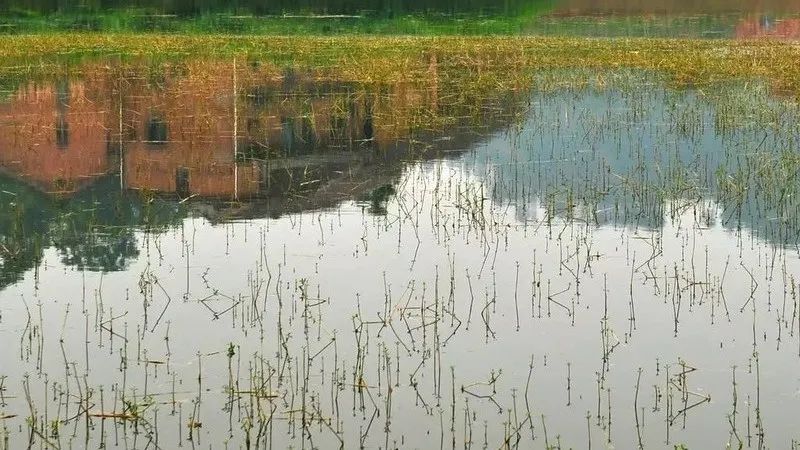 白马湖|娄底旅游推荐：白马湖