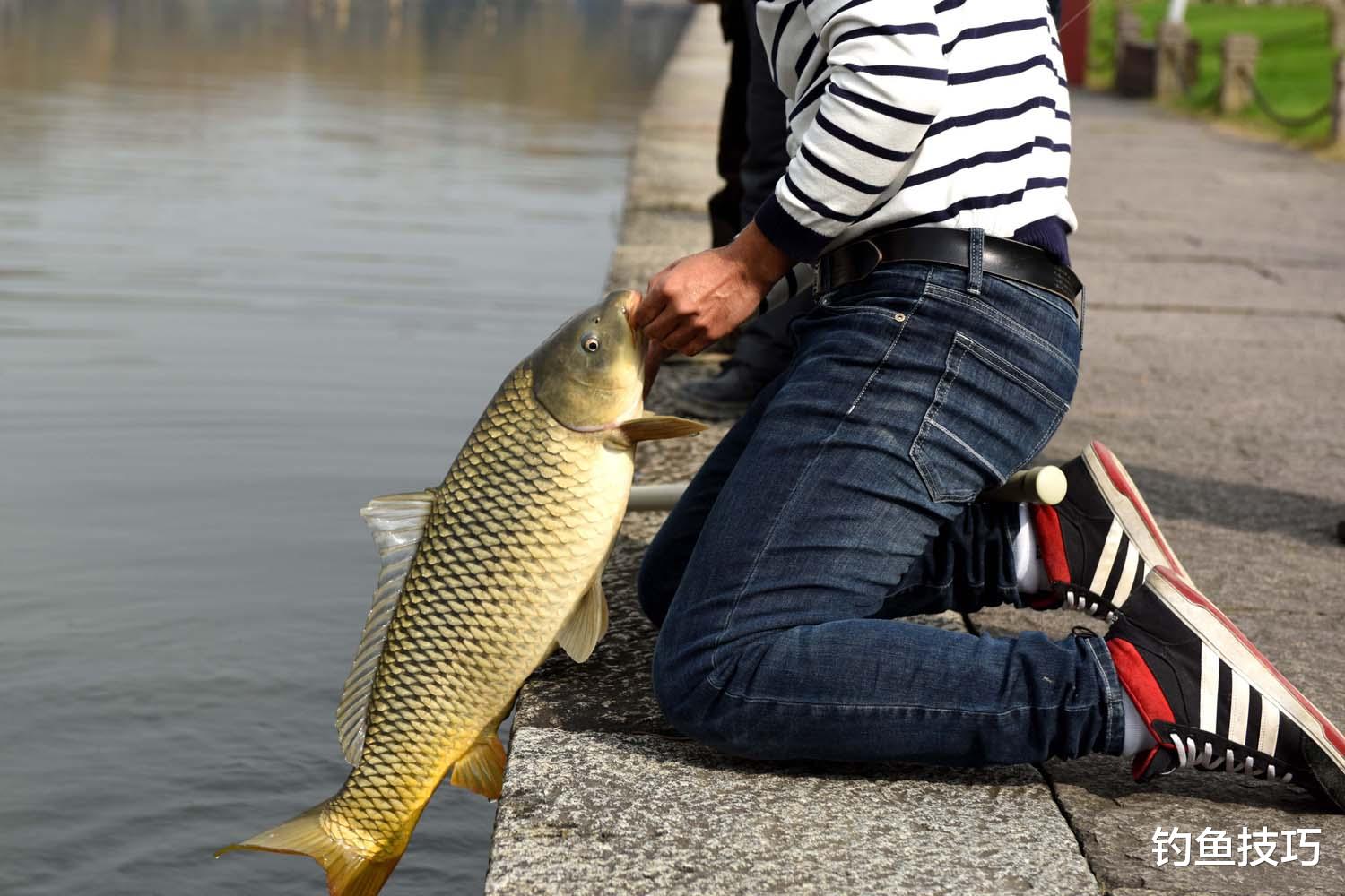 中秋节|中秋钓鱼用什么味型的鱼饵效果最好？中秋钓鱼的主要味型