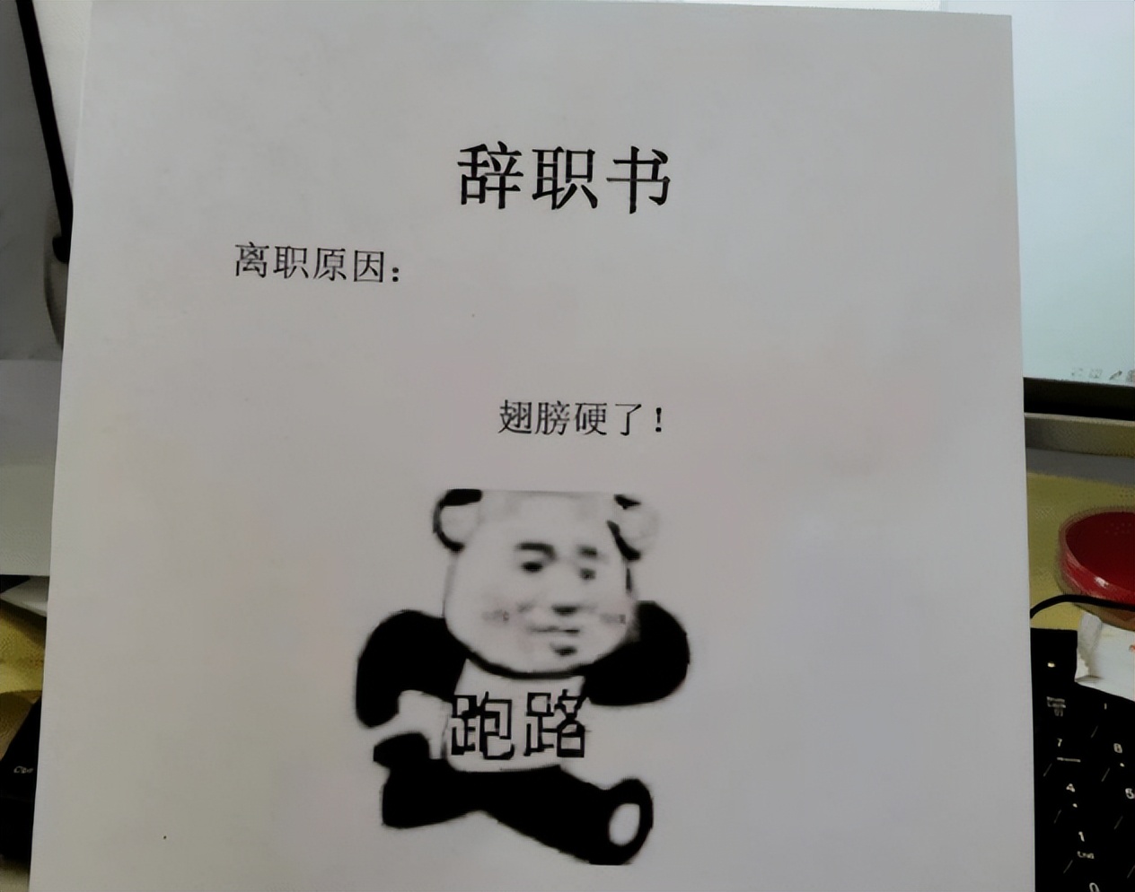 00后|“一个敢写,一个敢批”,00后大学生离职申请走红,面子话都省了