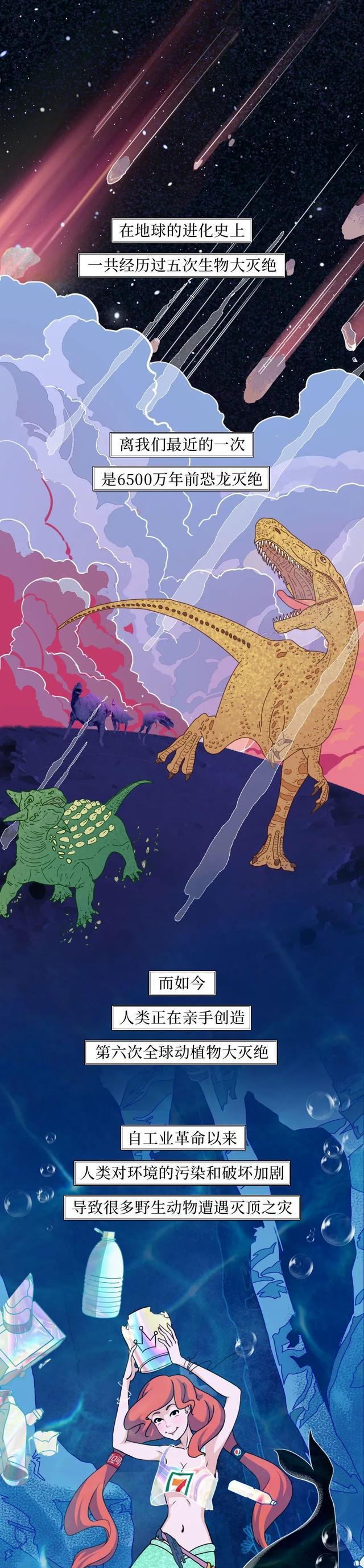 “第六次全球动植物大灭绝,正在进行中……”一组漫画了解