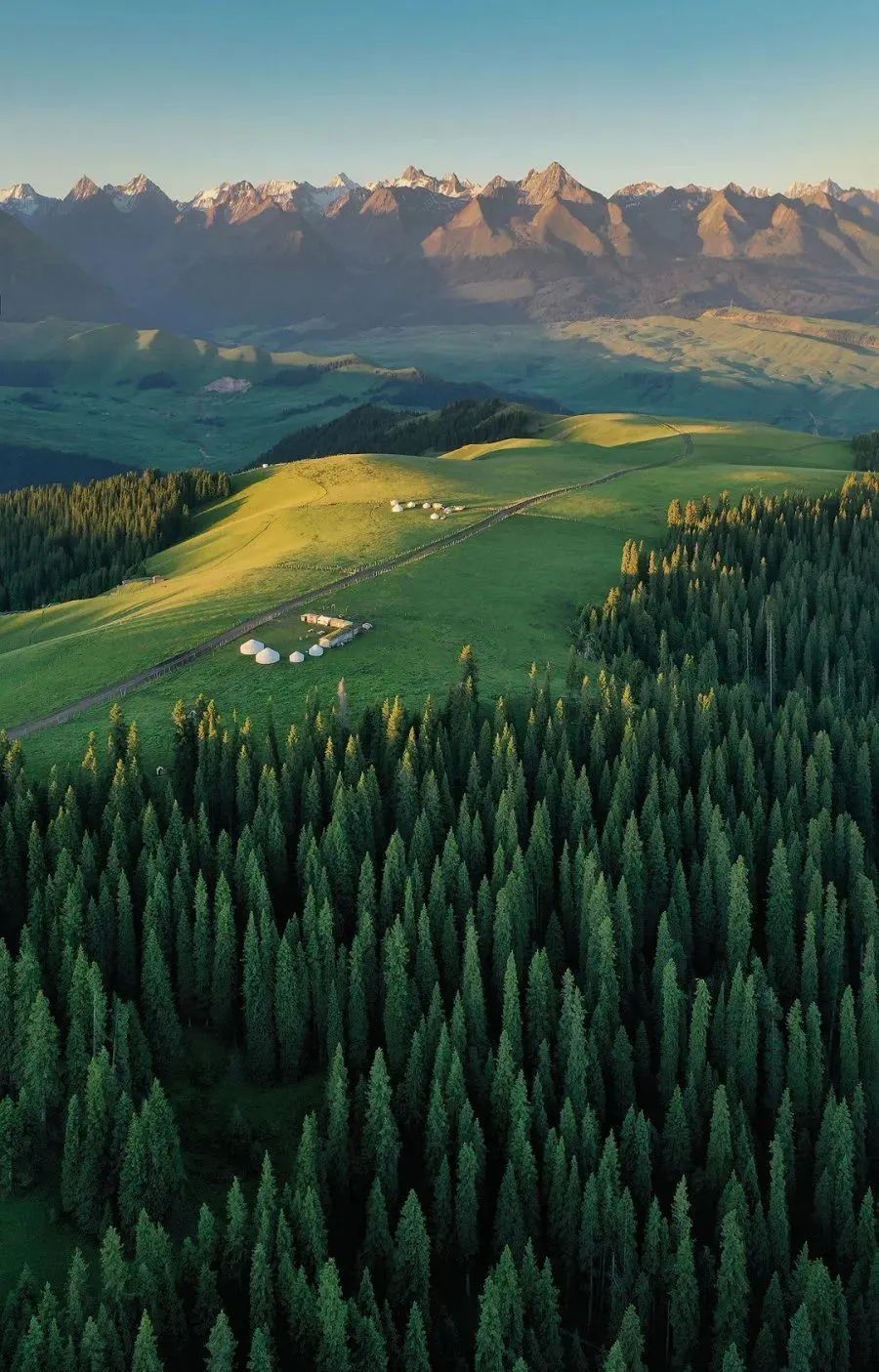 香港|草原季即将开启,如何选择最适合你的草原?