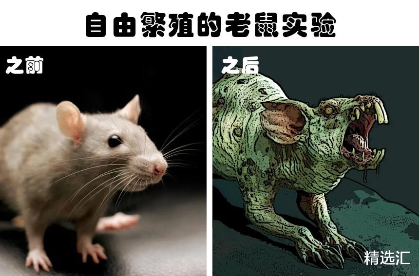 对猴子隔绝母爱的残忍实验!人类历史上的5大恐怖的科学实验
