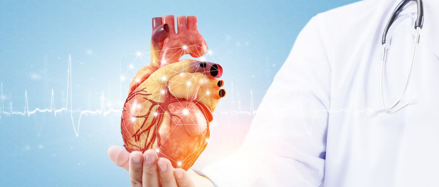 科技前沿 | 人造心脏研制迈出重要一步