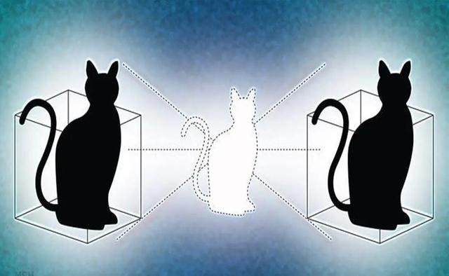 薛定谔的猫是什么意思?它比喻什么?薛定谔的猫通俗解释