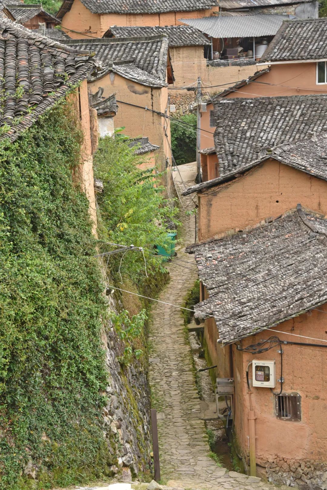 |浙南这座360年历史的古村,由于风景太治愈,意外成为网红!